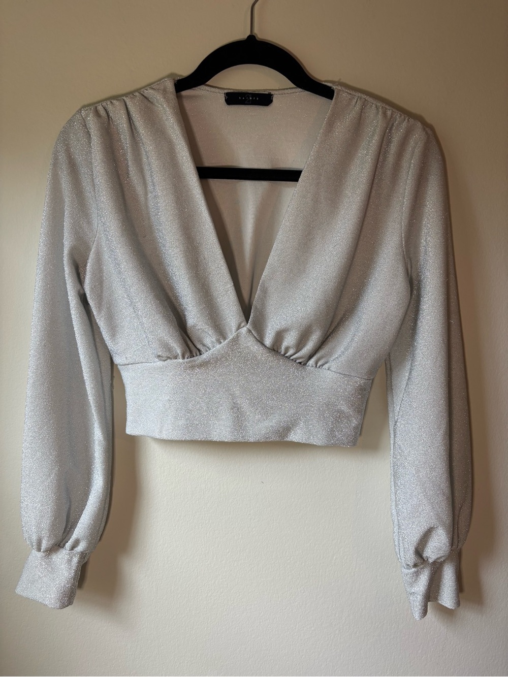 Metallic Silver Long-Sleeve V-Neck Crop Top